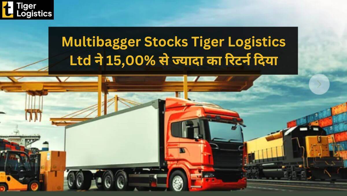 multibagger stocks Tiger Logistics Ltd give 1500 percent returns details in hindi